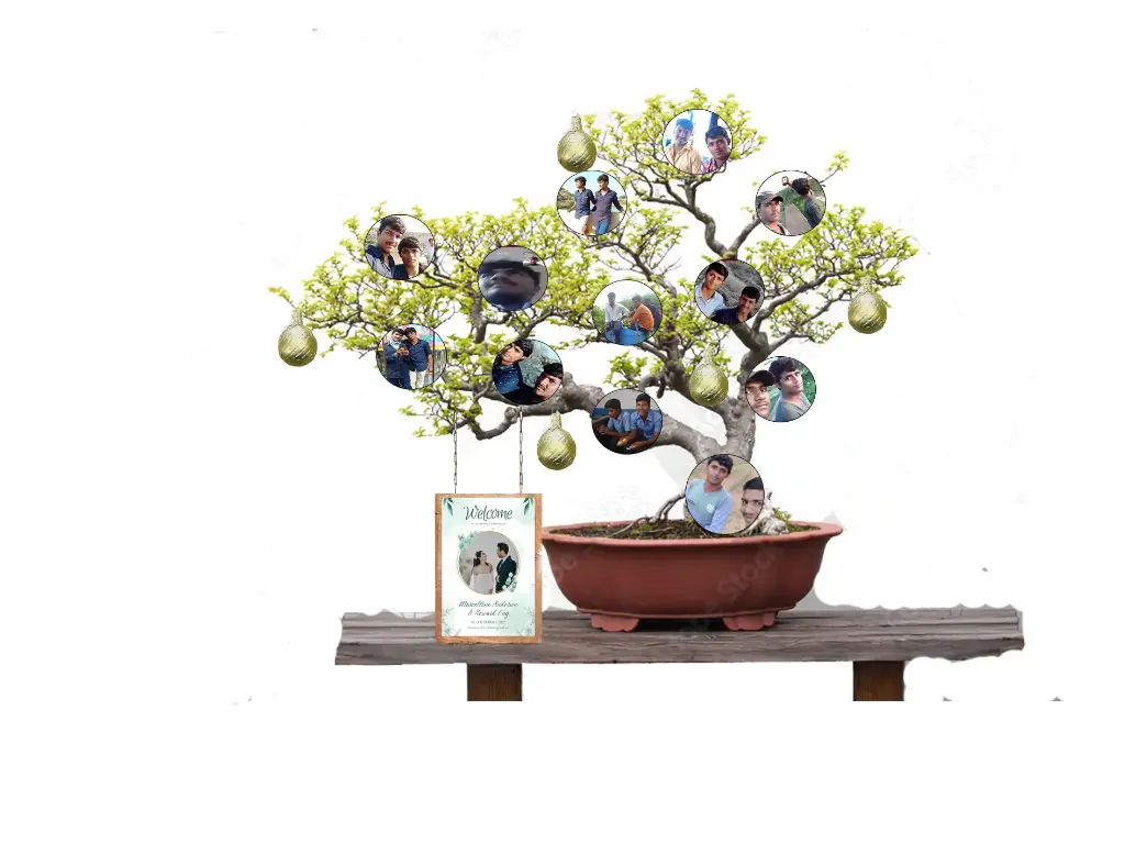 where its start invitation or gift